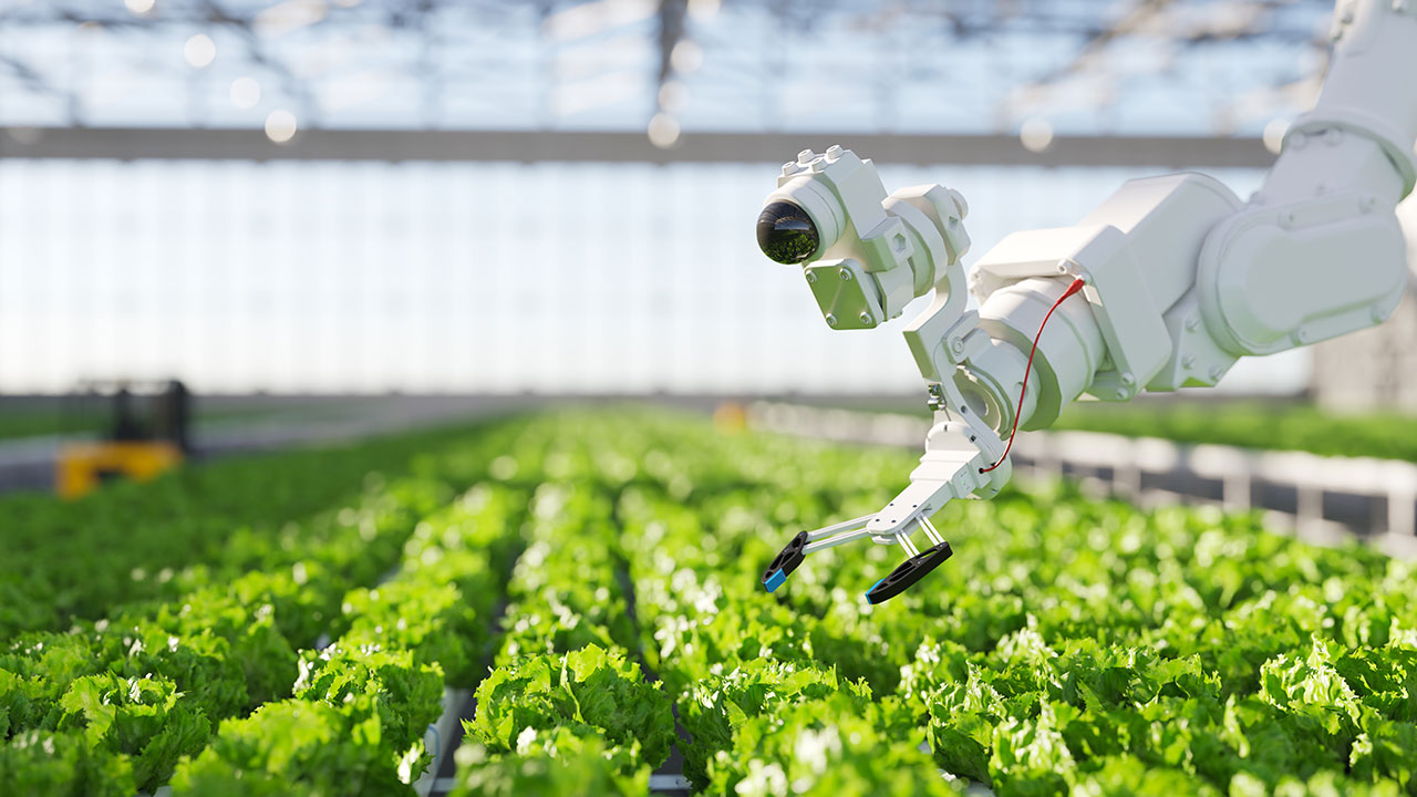 Greenhouse robotics
