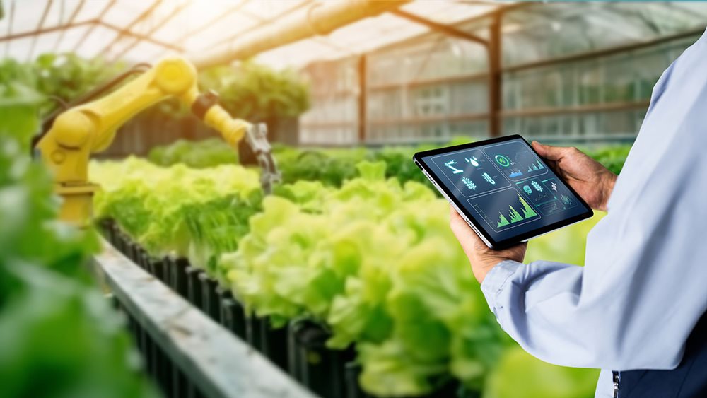 Greenhouse IoT