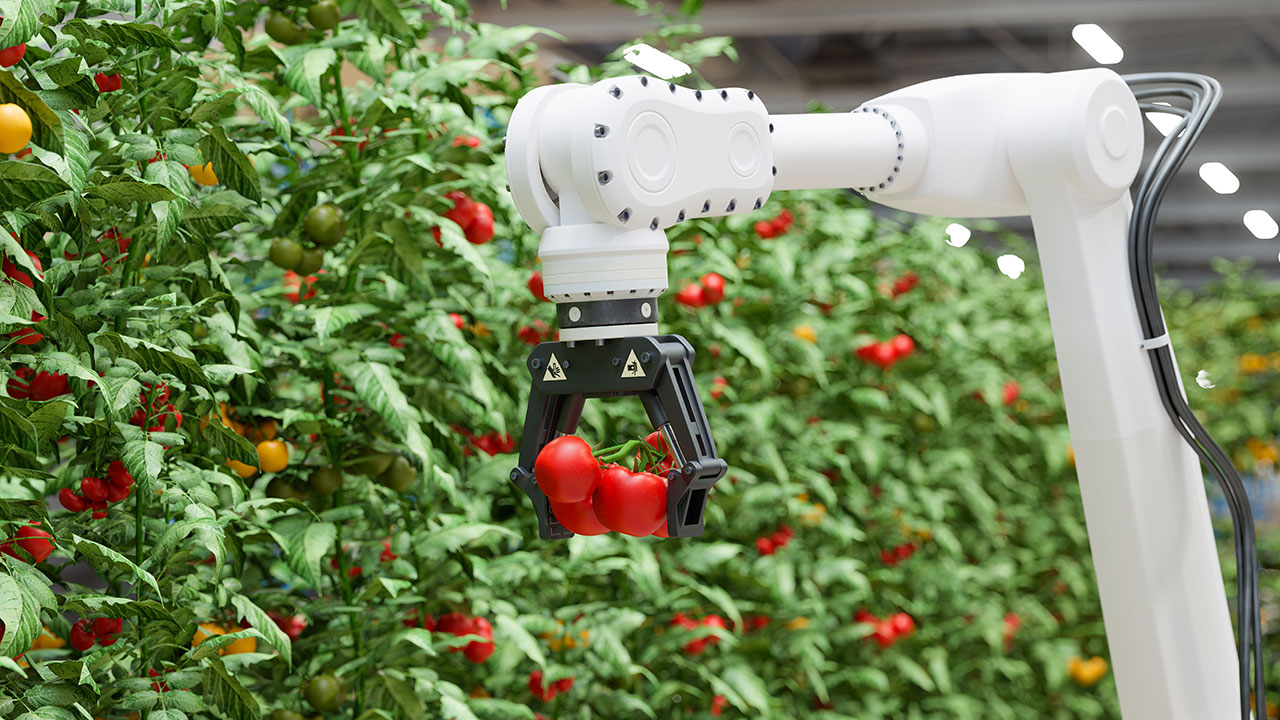 Automated harvester